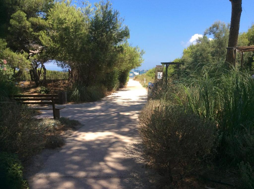 Badine Beach 5P Plage Piscine Balneo Clim Jardin Exotique Hyeres Ngoại thất bức ảnh